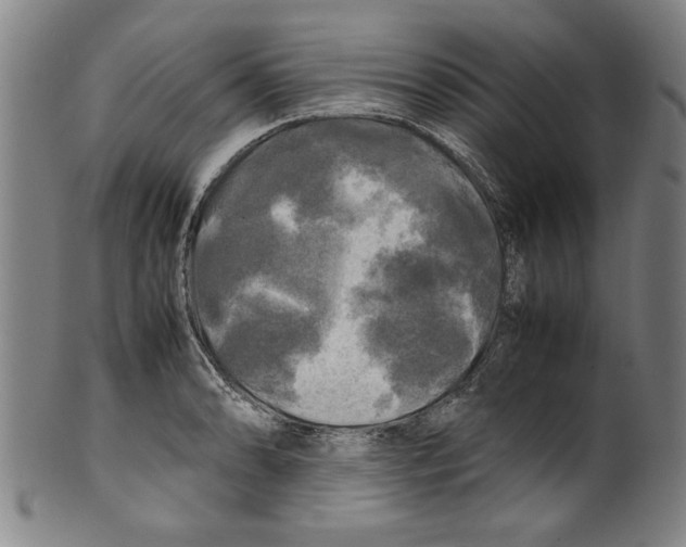 X0000099411086200806060926