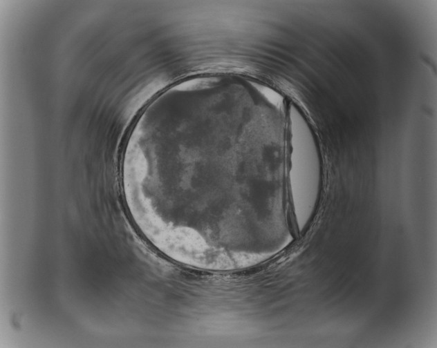 X0000099411087200806060926