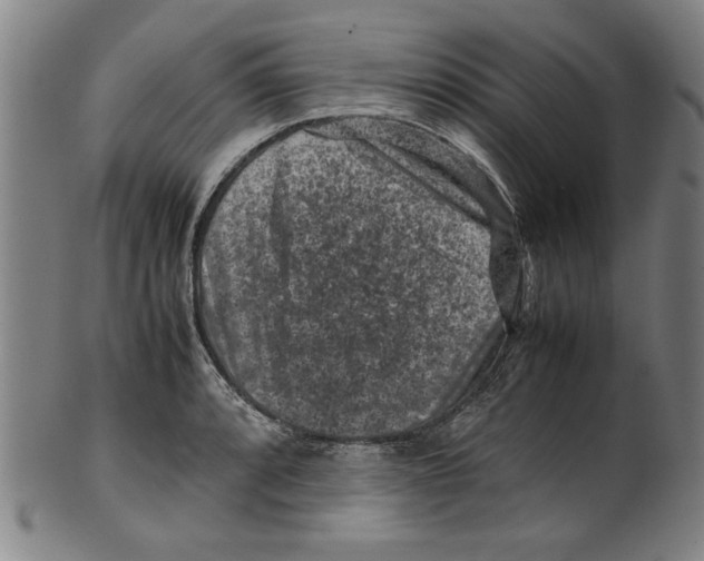 X0000099411088200806060926