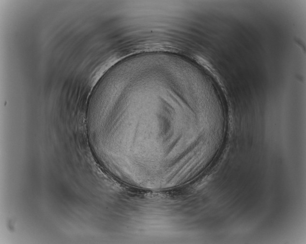 X0000099411089200806060926