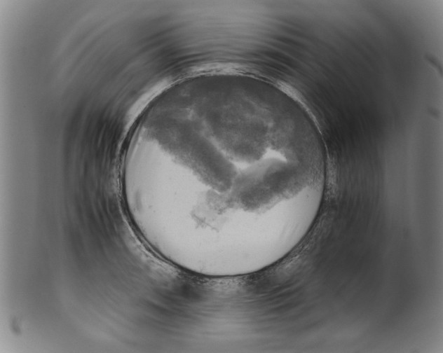 X0000099411090200806060926