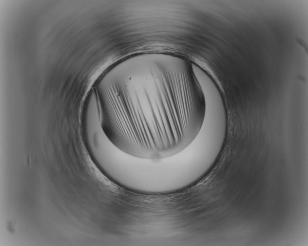 X0000099411091200806060926