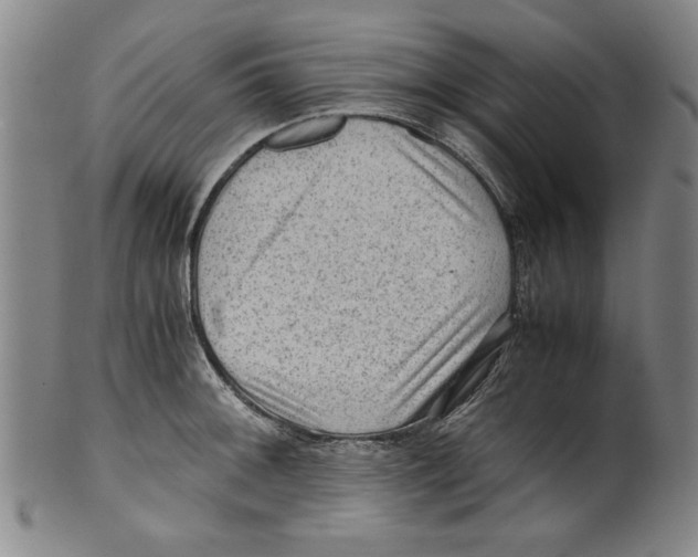 X0000099411092200806060926