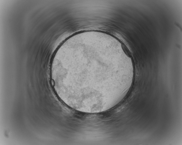 X0000099411093200806060926