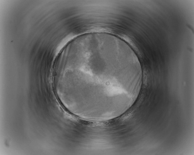 X0000099411094200806060926