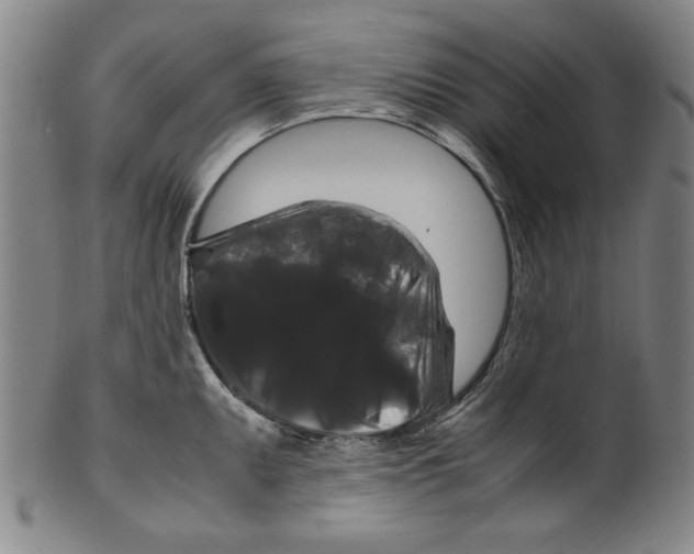 X0000099411095200806060926