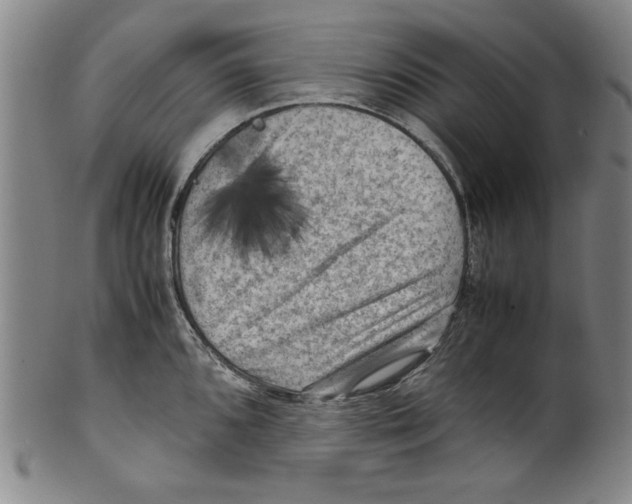 X0000099411096200806060926