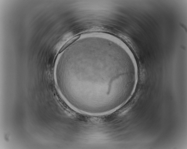 X0000099411097200806060926