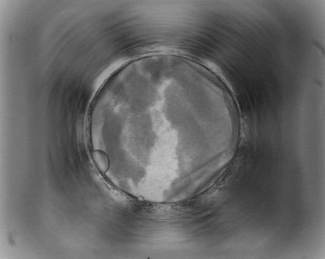 X0000099411098200806060926