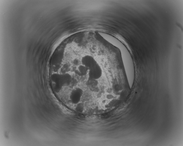 X0000099411099200806060926