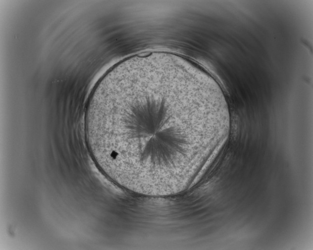 X0000099411100200806060926