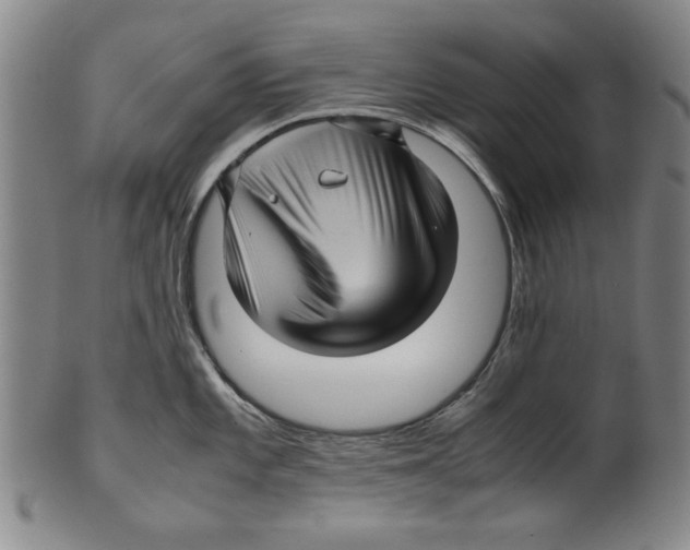 X0000099411101200806060926