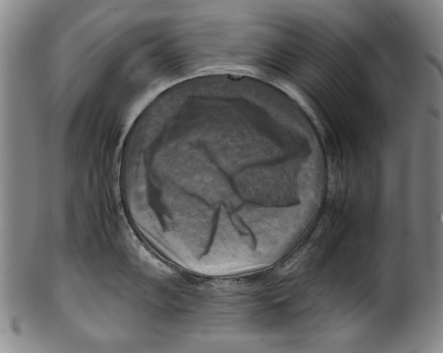 X0000099411102200806060926