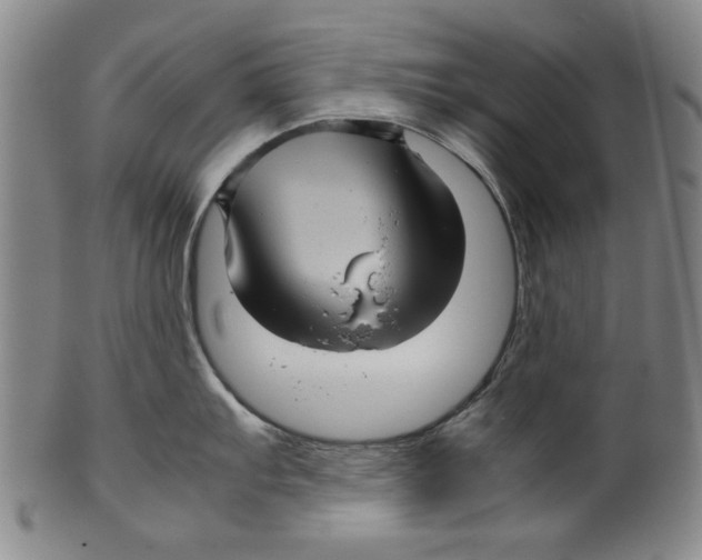 X0000099411103200806060926