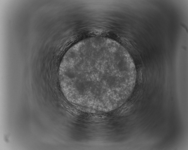 X0000099411105200806060925