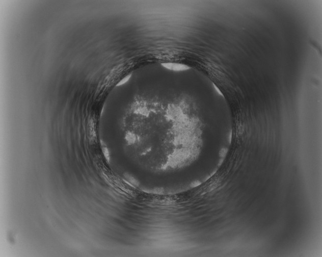 X0000099411106200806060925