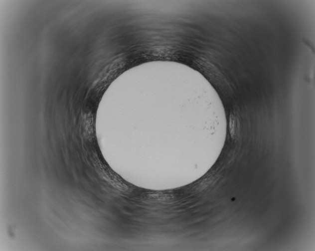 X0000099411107200806060925