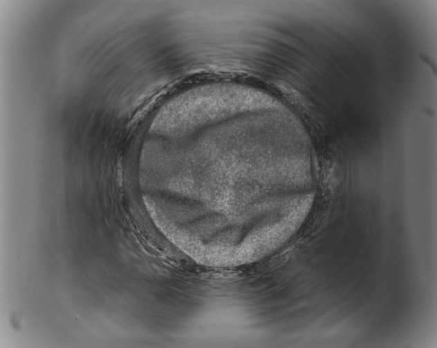 X0000099411110200806060925