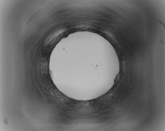 X0000099411111200806060925