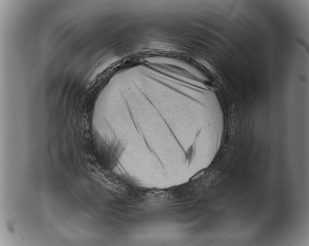 X0000099411112200806060925
