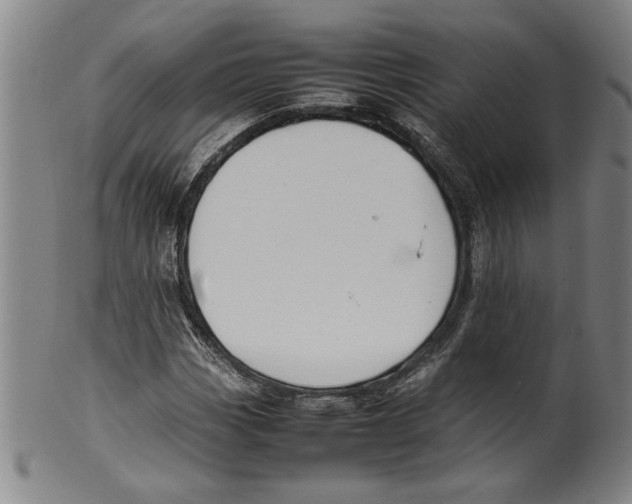 X0000099411113200806060925