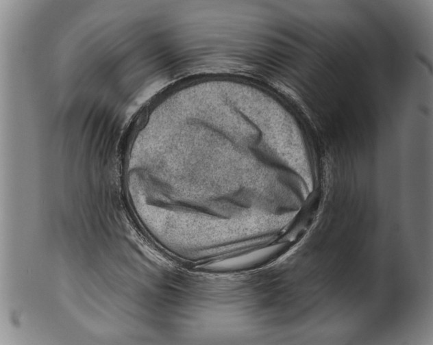 X0000099411114200806060925