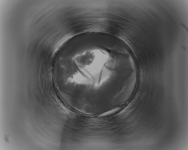 X0000099411115200806060925