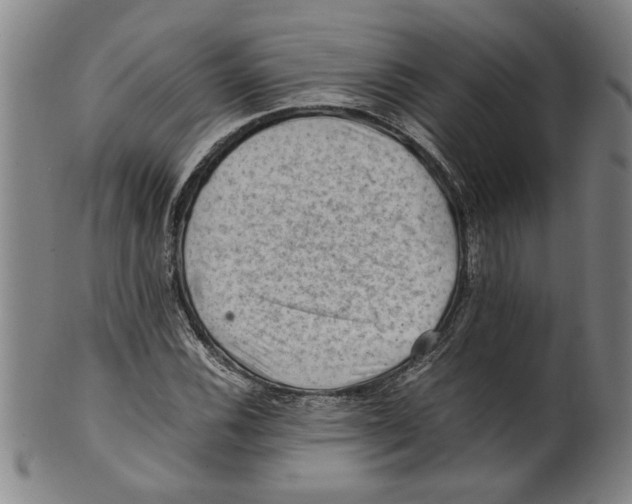 X0000099411116200806060925