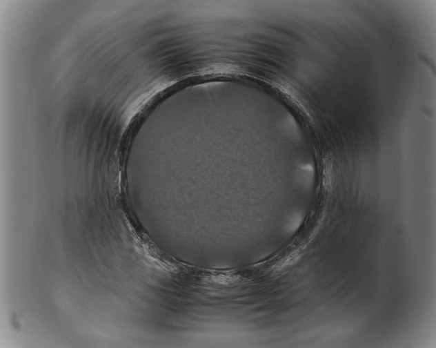 X0000099411117200806060925