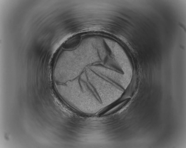 X0000099411118200806060925