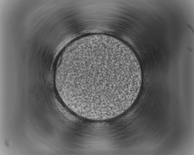 X0000099411122200806060925