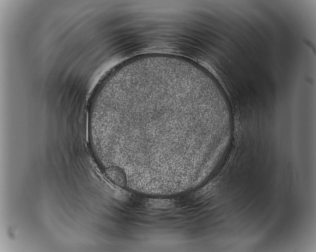 X0000099411123200806060925