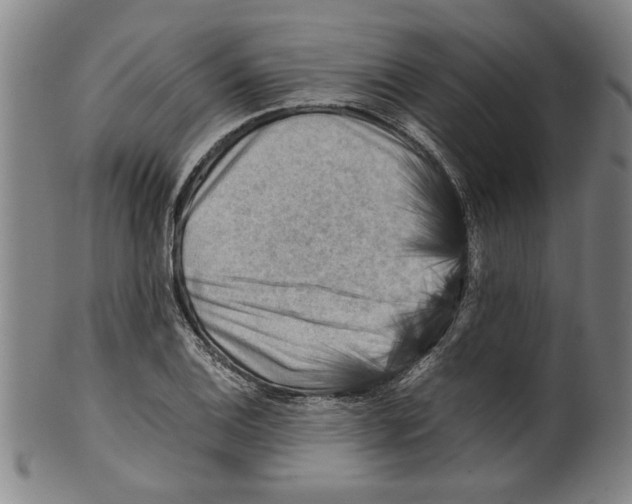 X0000099411124200806060925
