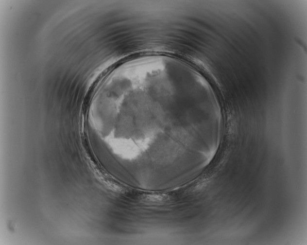 X0000099411125200806060925