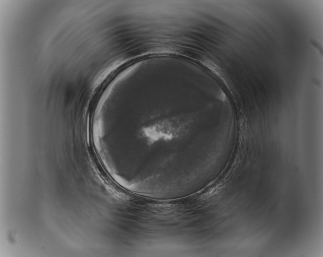 X0000099411127200806060925