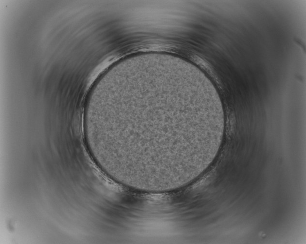 X0000099411130200806060925