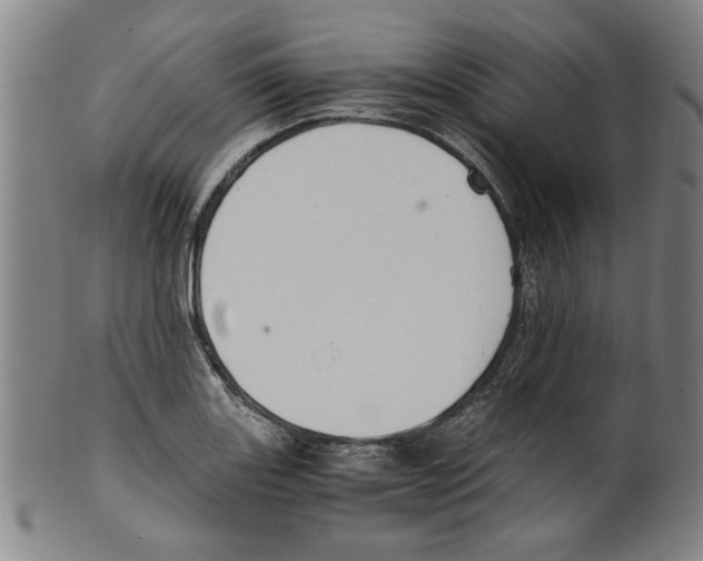 X0000099411131200806060925