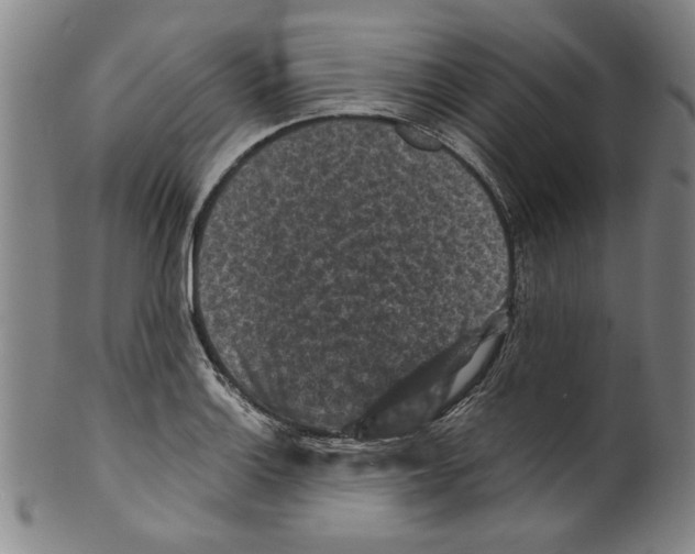 X0000099411132200806060925