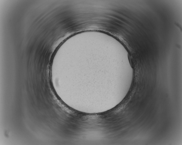 X0000099411134200806060925