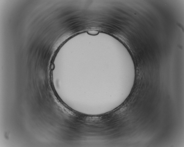 X0000099411135200806060925