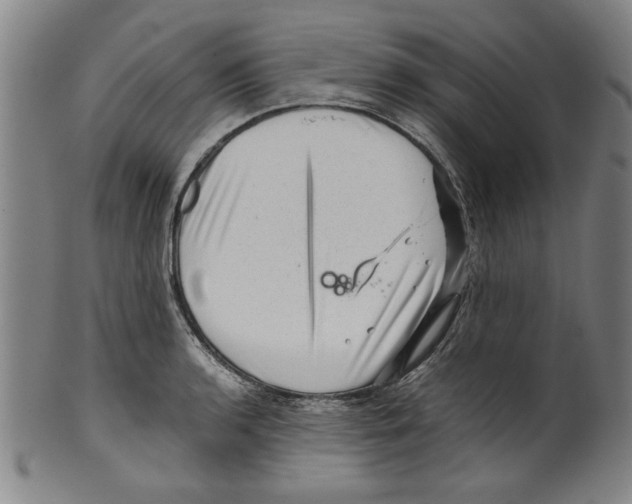 X0000099411136200806060925