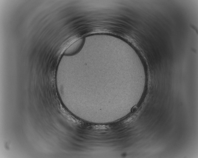 X0000099411137200806060925