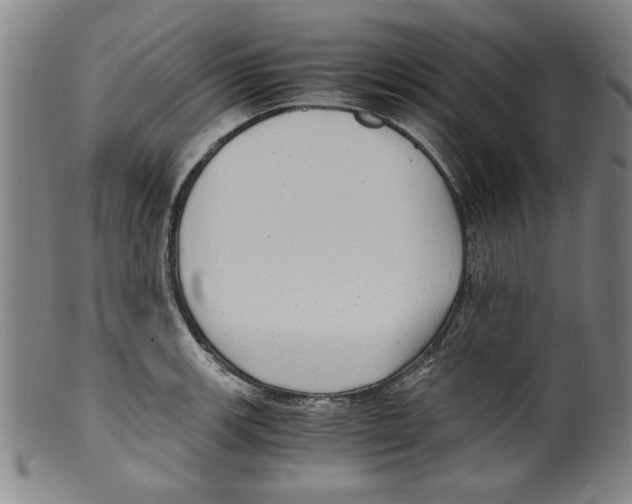 X0000099411139200806060925