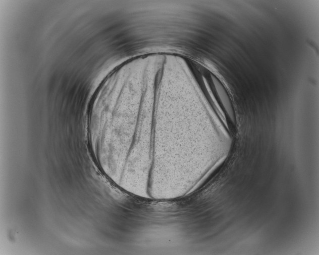 X0000099411140200806060925