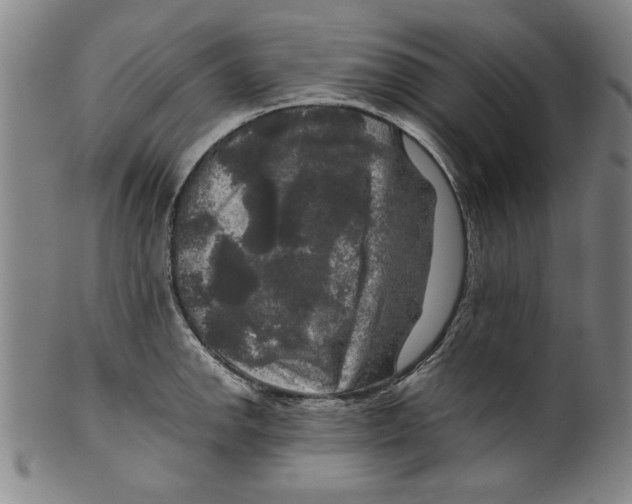 X0000099411142200806060925