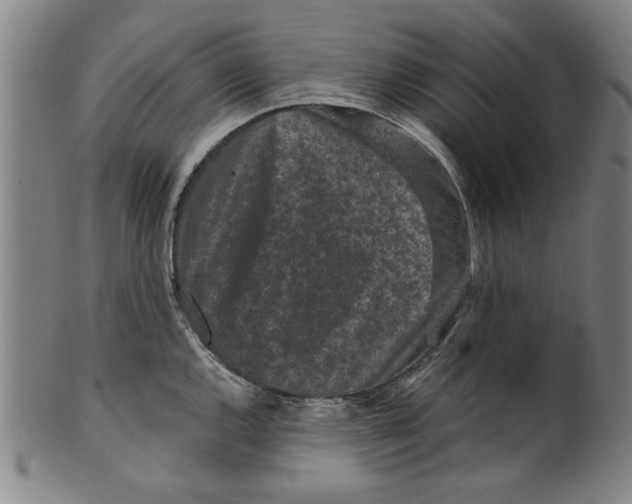 X0000099411144200806060925