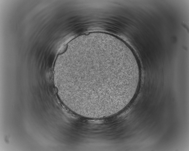 X0000099411145200806060925