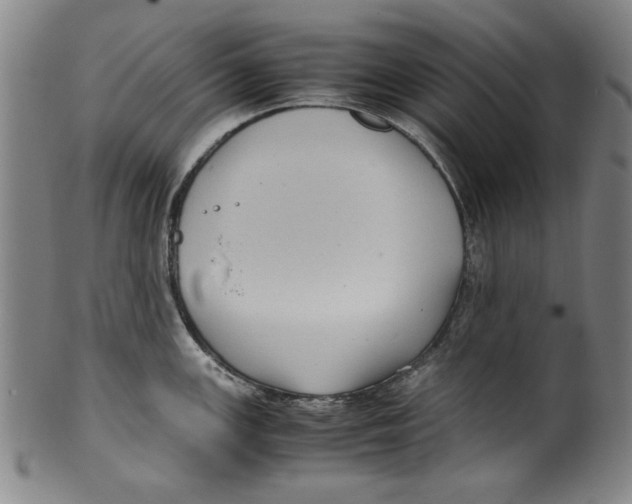 X0000099411147200806060925