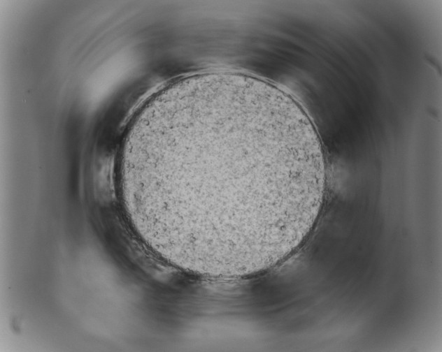 X0000099411150200806060926