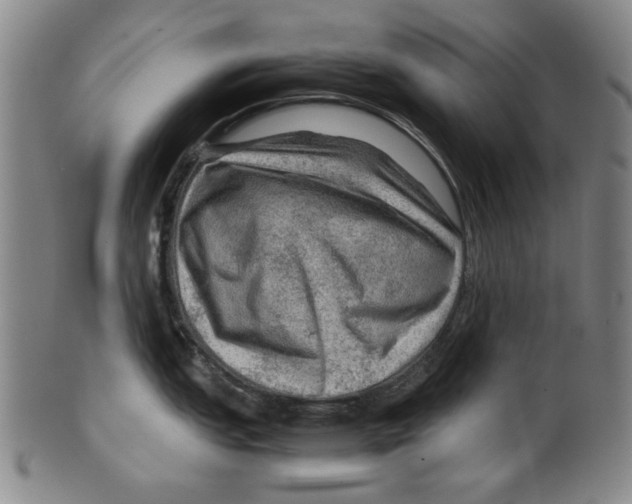 X0000099411151200806060926